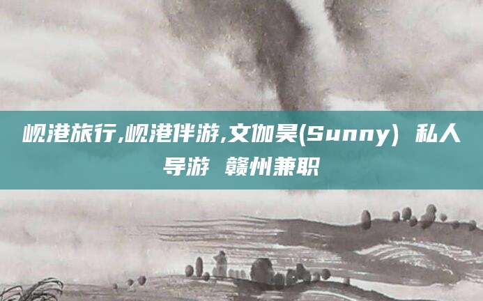 淮南岘港旅行,岘港伴游,文伽昊(Sunny) 私人导游 赣州兼职