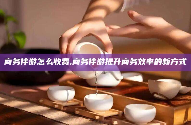淮南商务伴游怎么收费,商务伴游提升商务效率的新方式