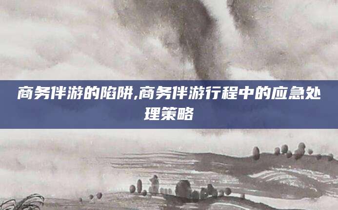 淮南商务伴游的陷阱,商务伴游行程中的应急处理策略